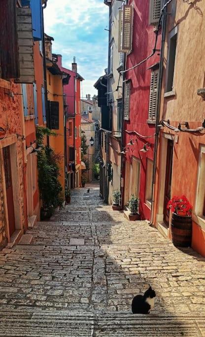 Little Heaven Apartment Rovinj Luaran gambar